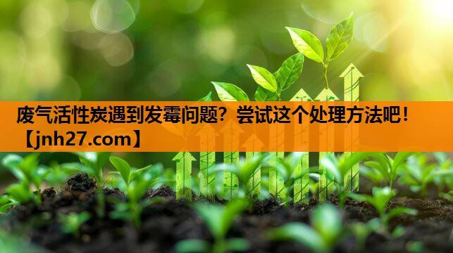 废气活性炭遇到发霉问题？尝试这个处理方法吧！