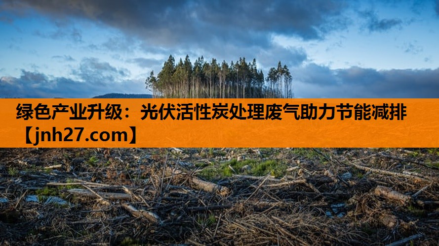 <strong>绿色产业升级：光伏活性炭处理废气助力节能减排</strong>