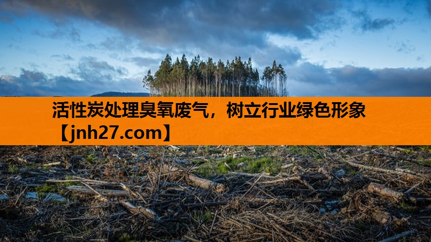 <strong>活性炭处理臭氧废气，树立行业绿色形象</strong>