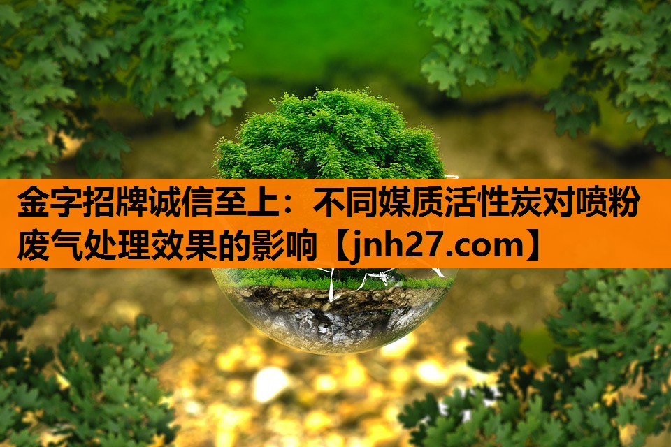 不同媒质活性炭对喷粉废气处理效果的影响