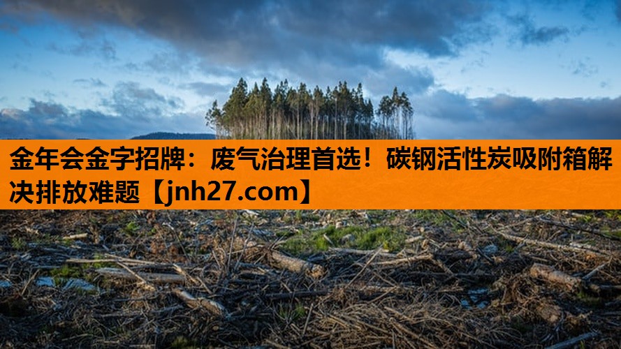 废气治理首选！碳钢活性炭吸附箱解决排放难题