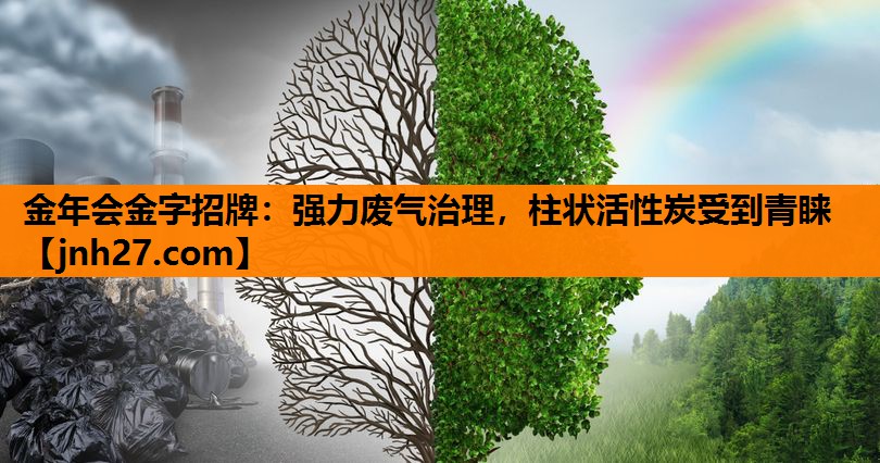 强力废气治理，柱状活性炭受到青睐
