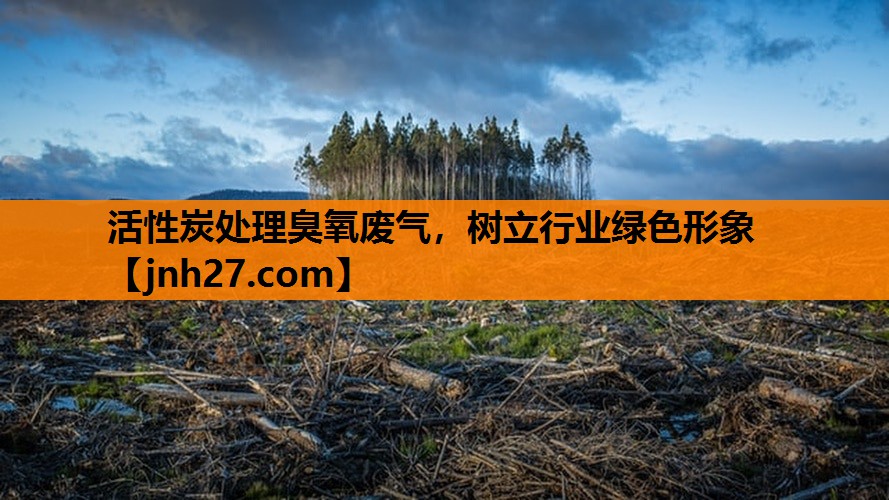 活性炭处理臭氧废气，树立行业绿色形象